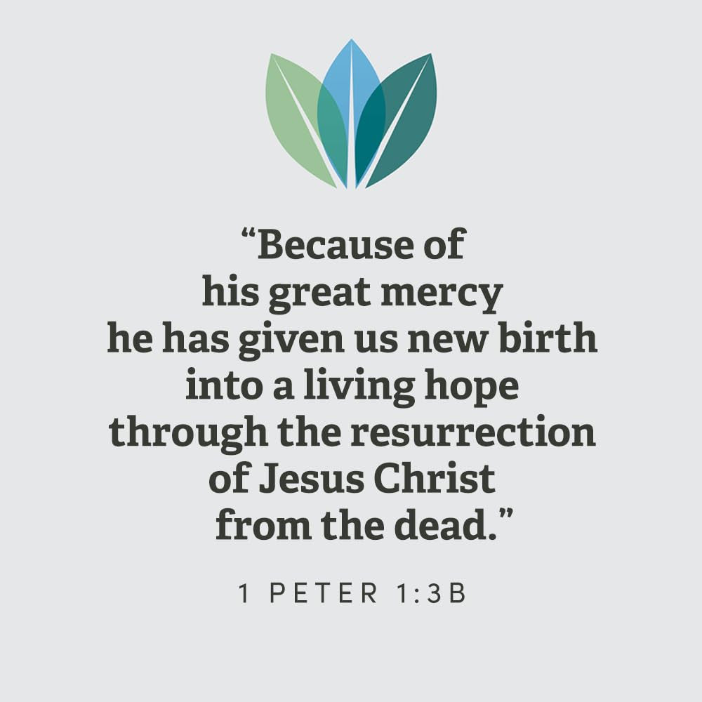 1 Peter: a Living Hope in Christ - Bible Study Book with Video Access (The Gospe