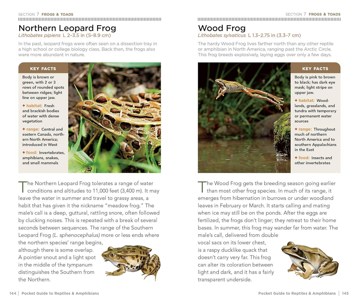 National Geographic Pocket Guide to Reptiles and Amphibians of North America