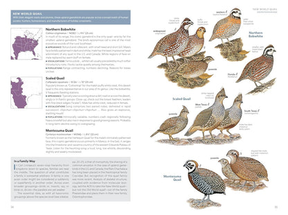 National Geographic Field Guide to the Birds of the United States and Canada―Eas
