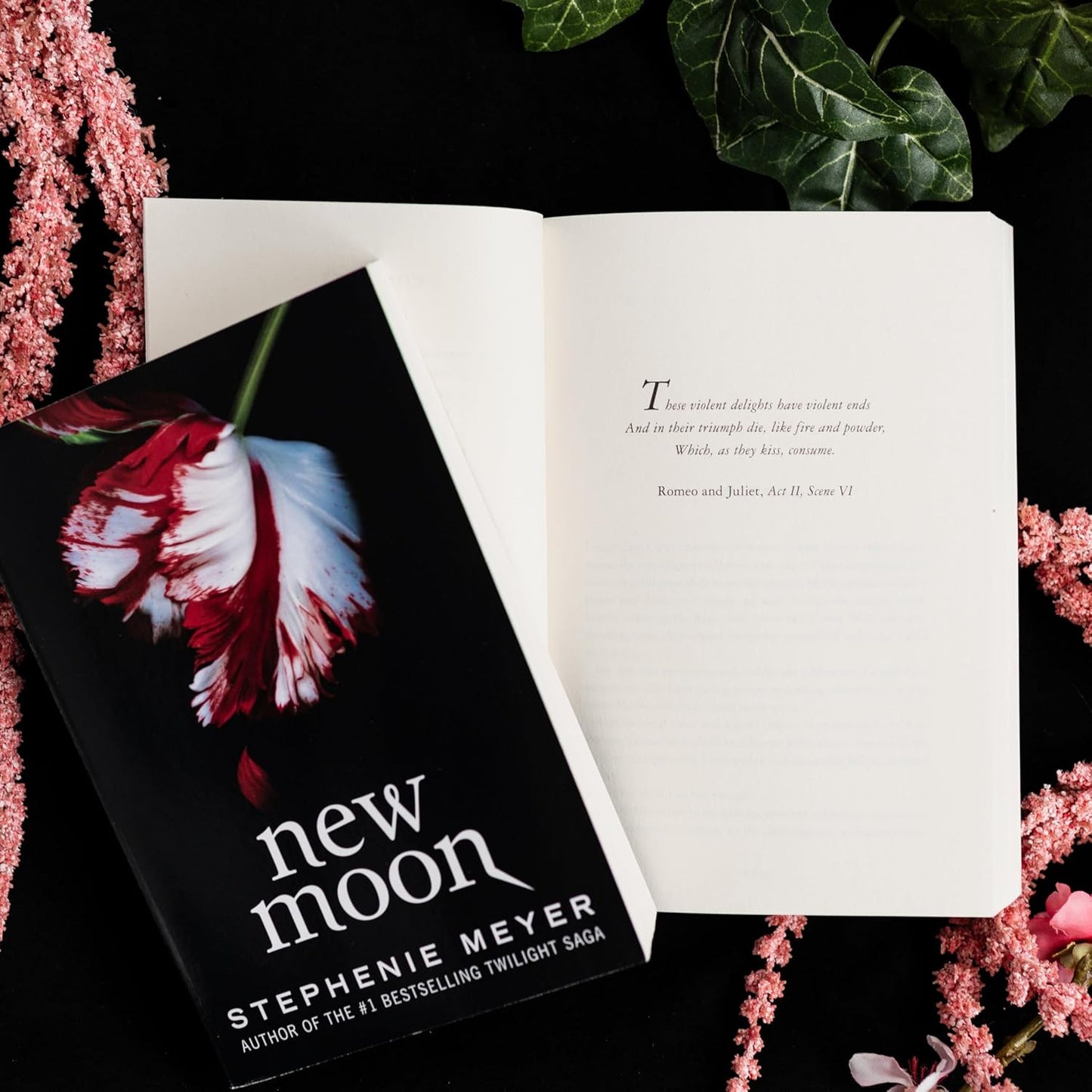 New Moon (The Twilight Saga, 2)