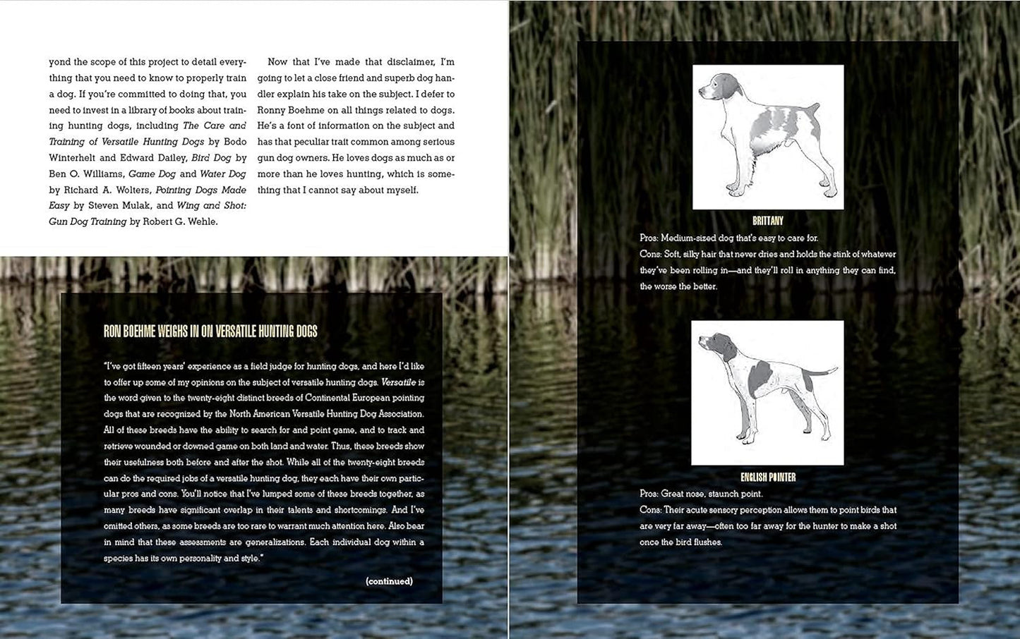 The Complete Guide to Hunting, Butchering, and Cooking Wild Game: Volume 2: Smal