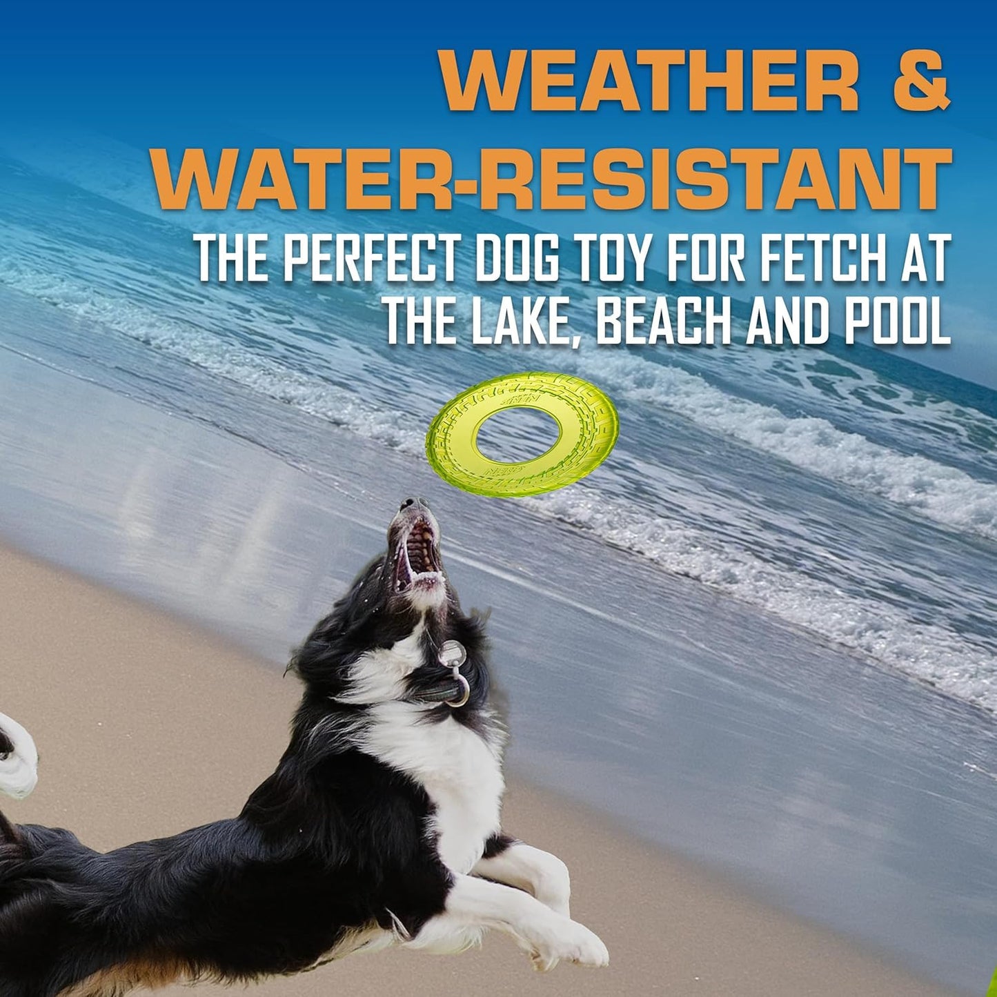 Tire Flyer Dog Toy Gift Set, 10 Inch Flying Disc Dog Fetch Toys, Rubber Dog Toy