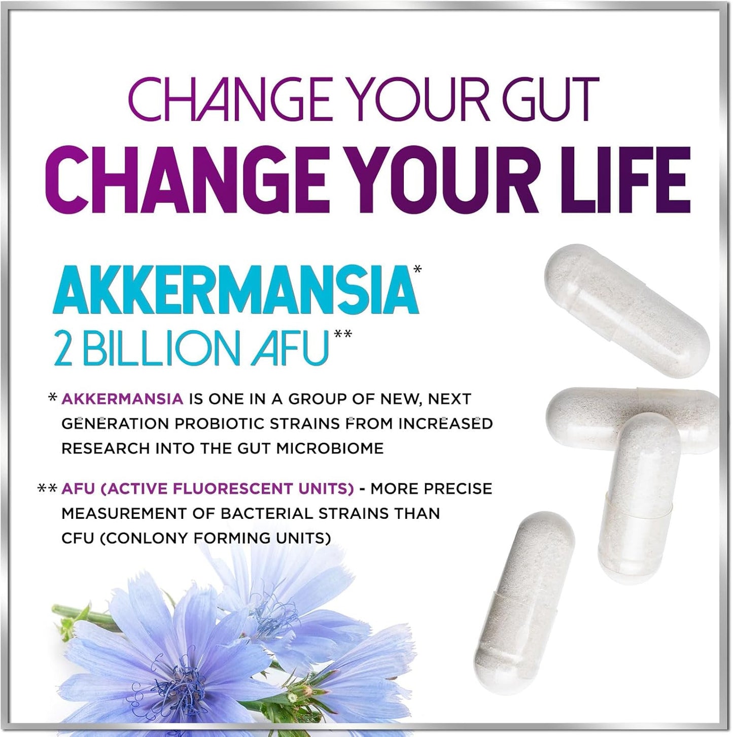 Akkermansia Probiotic with Prebiotic Fiber - Supports GLP-1 Production - 2 Billi