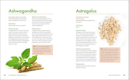 The Big Book of Herbal Medicine: 300 Natural Remedies for Health and Wellness