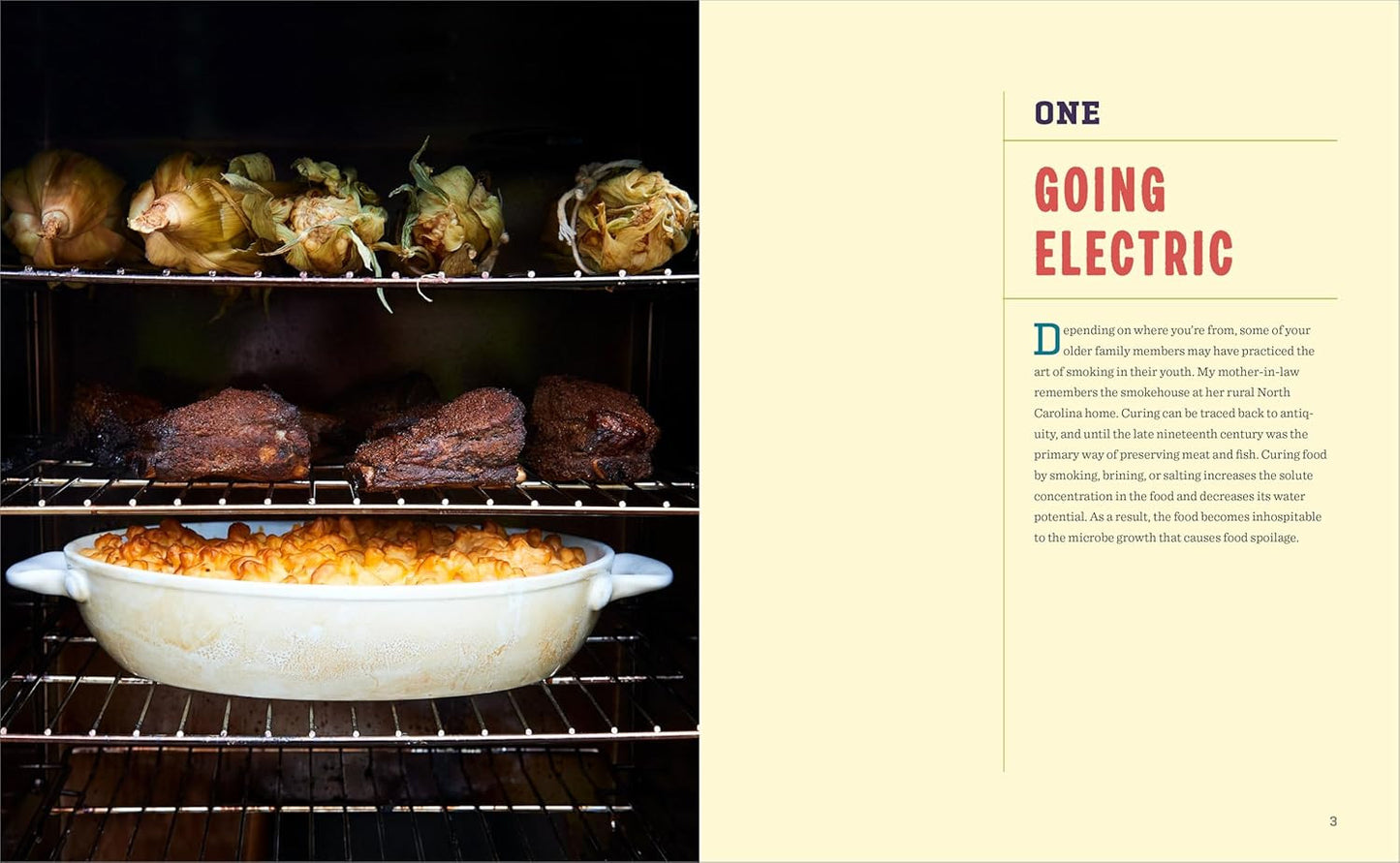 The Complete Electric Smoker Cookbook: 100+ Recipes and Essential Techniques for