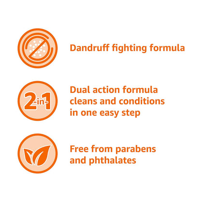 2-In-1 Dandruff Shampoo and Conditioner, Gentle, Ph Balanced, 12.5 Fl Oz (Pack o