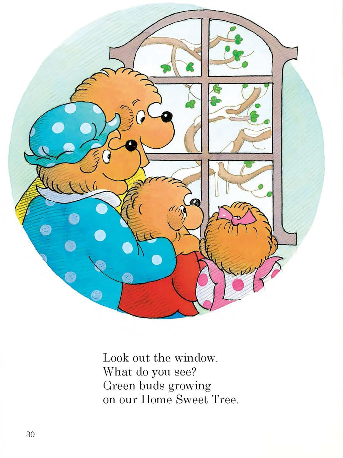 The Berenstain Bears' Storytime Treasury