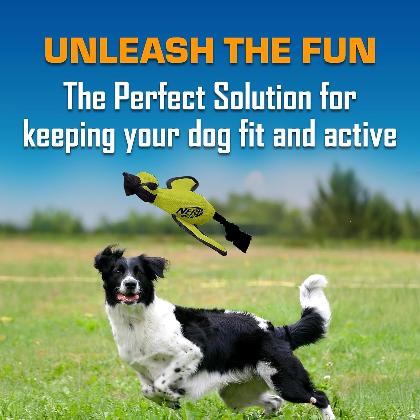 Trackshot Launching Duck Dog Toy, 16.5 Dog Fetch Toy for Medium and Large Breeds