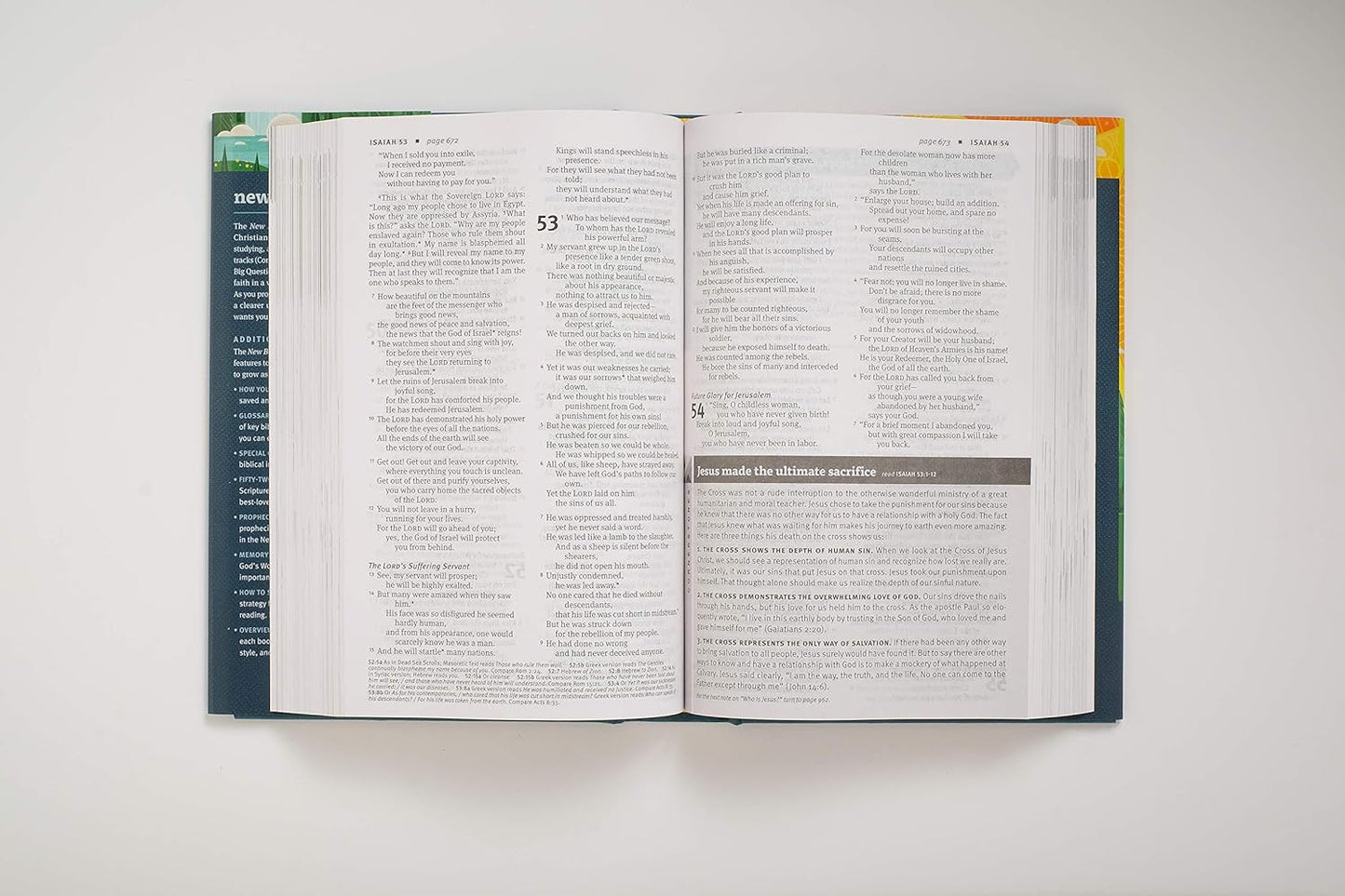 New Believer'S Bible NLT (Softcover): First Steps for New Christians