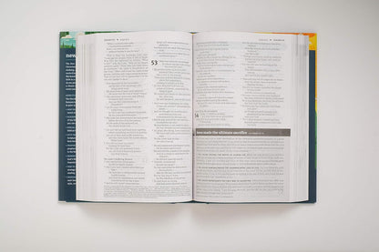 New Believer'S Bible NLT (Softcover): First Steps for New Christians