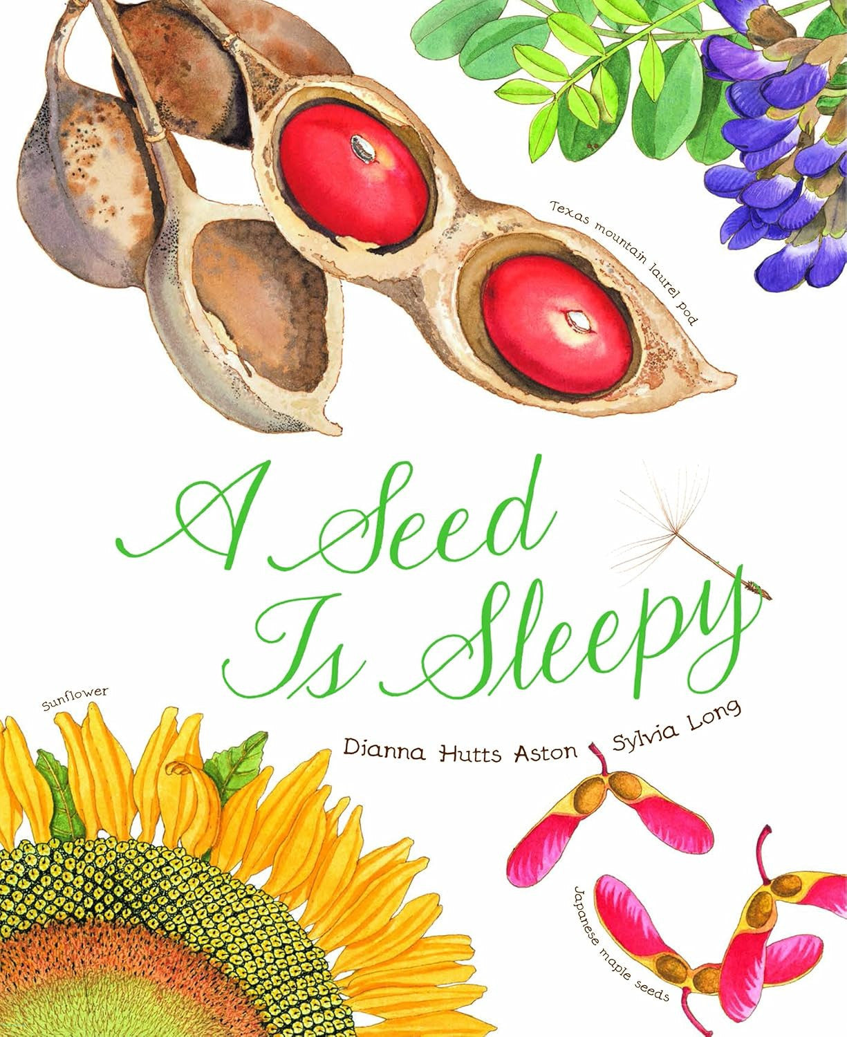 A Seed Is Sleepy: (Nature Books for Kids, Environmental Science for Kids) (Sylvi