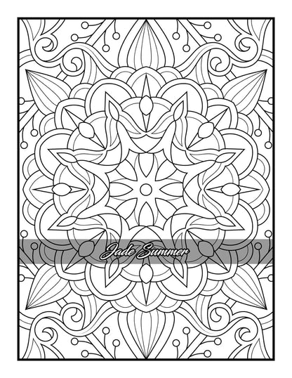 100 Amazing Patterns: an Adult Coloring Book with Fun, Easy, and Relaxing Colori