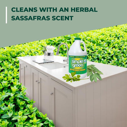 All Purpose Cleaner Concentrate 64 Fl Oz