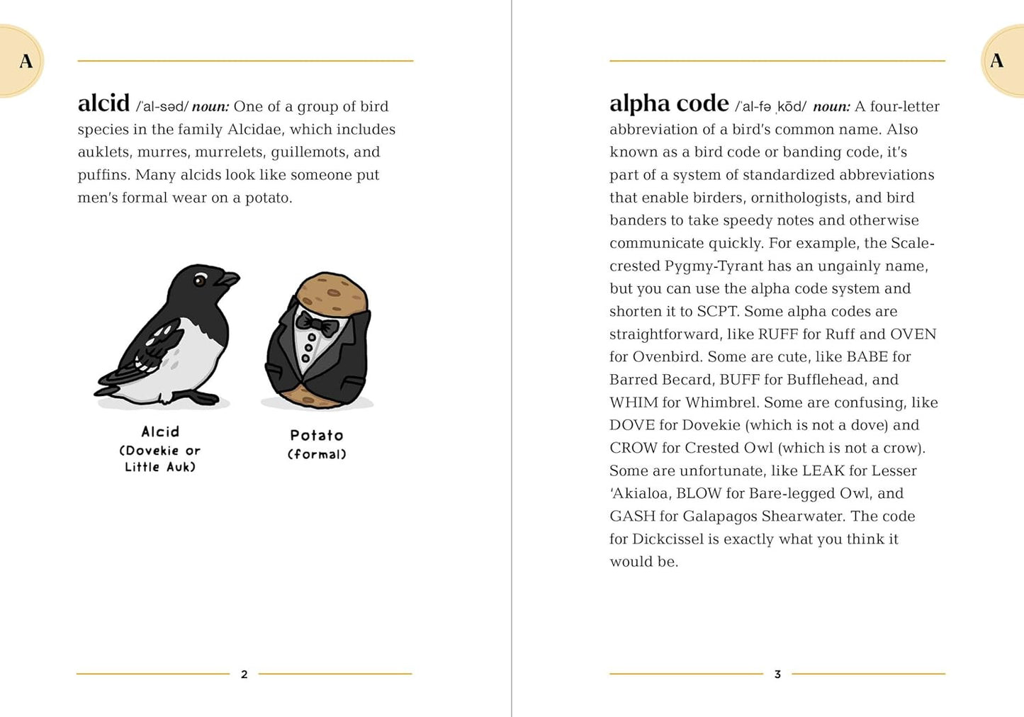 The Birding Dictionary