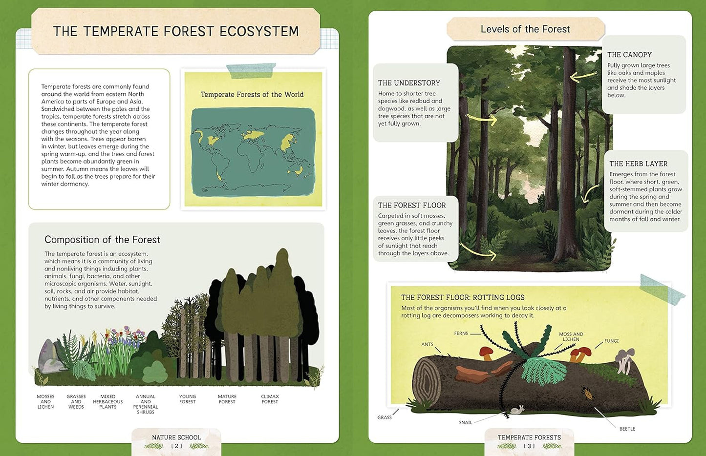 Nature School: Lessons and Activities to Inspire Children'S Love for Everything