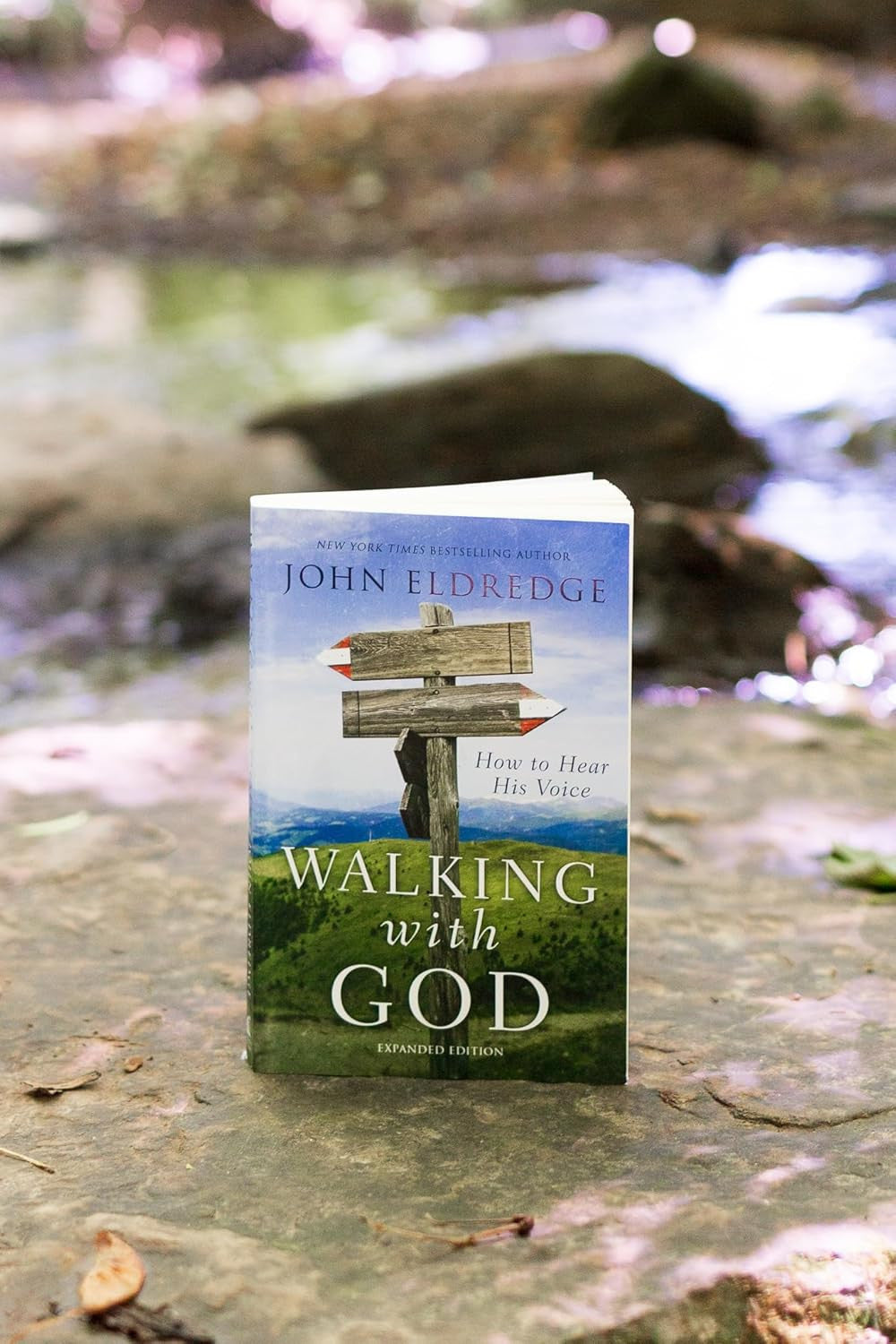 Walking with God: How to Hear His Voice