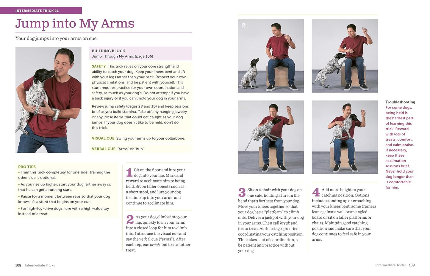 The Big Book of Tricks for the Best Dog Ever: a Step-By-Step Guide to 118 Amazin