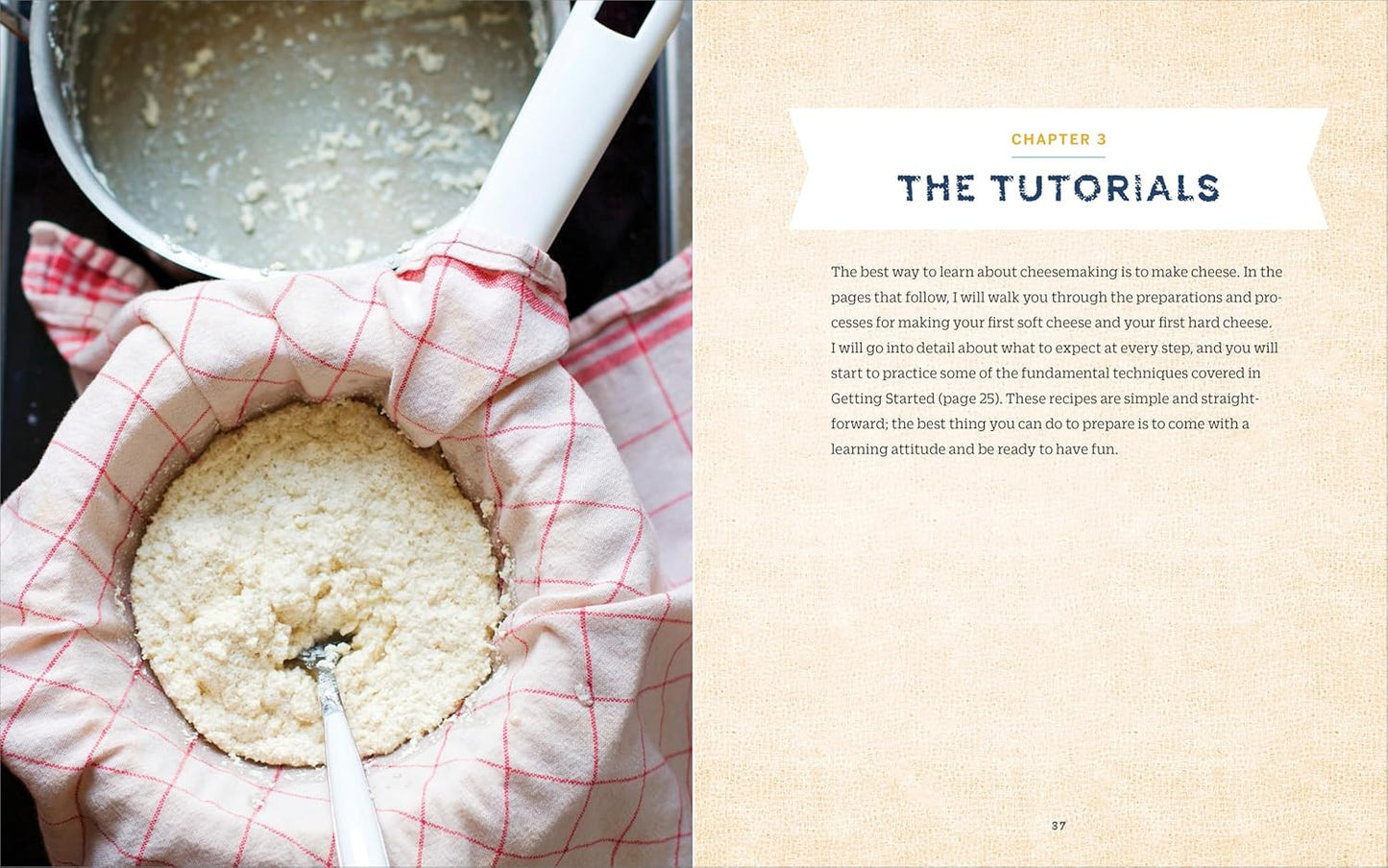 The Beginner'S Guide to Cheese Making: Easy Recipes and Lessons to Make Your Own