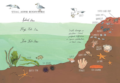 Ocean Anatomy: the Curious Parts & Pieces of the World under the Sea