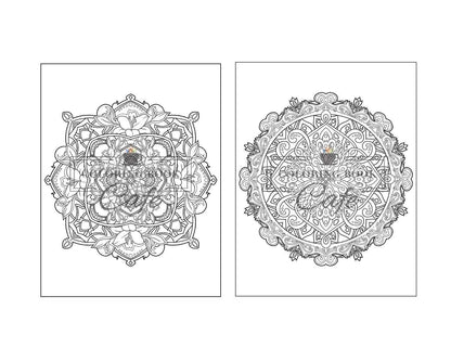 125 Mandalas: an Adult Coloring Book Featuring 125 of the World’S Most Beautiful