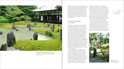 The Magical World of Moss Gardening