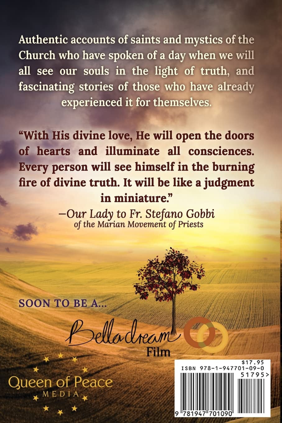 The Warning: Testimonies and Prophecies of the Illumination of Conscience