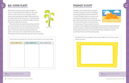 The Big Book of Reading Comprehension Activities, Grade 2: 120 Activities for Af