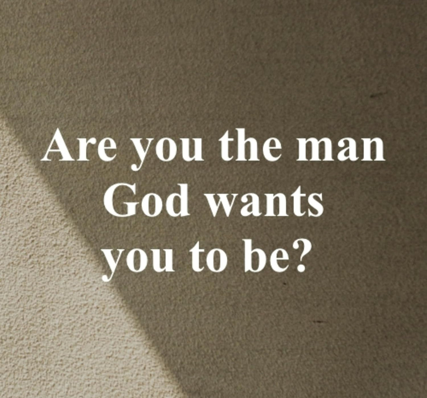 The Titus Ten - Bible Study Book with Video Access: Foundations for Godly Manhoo