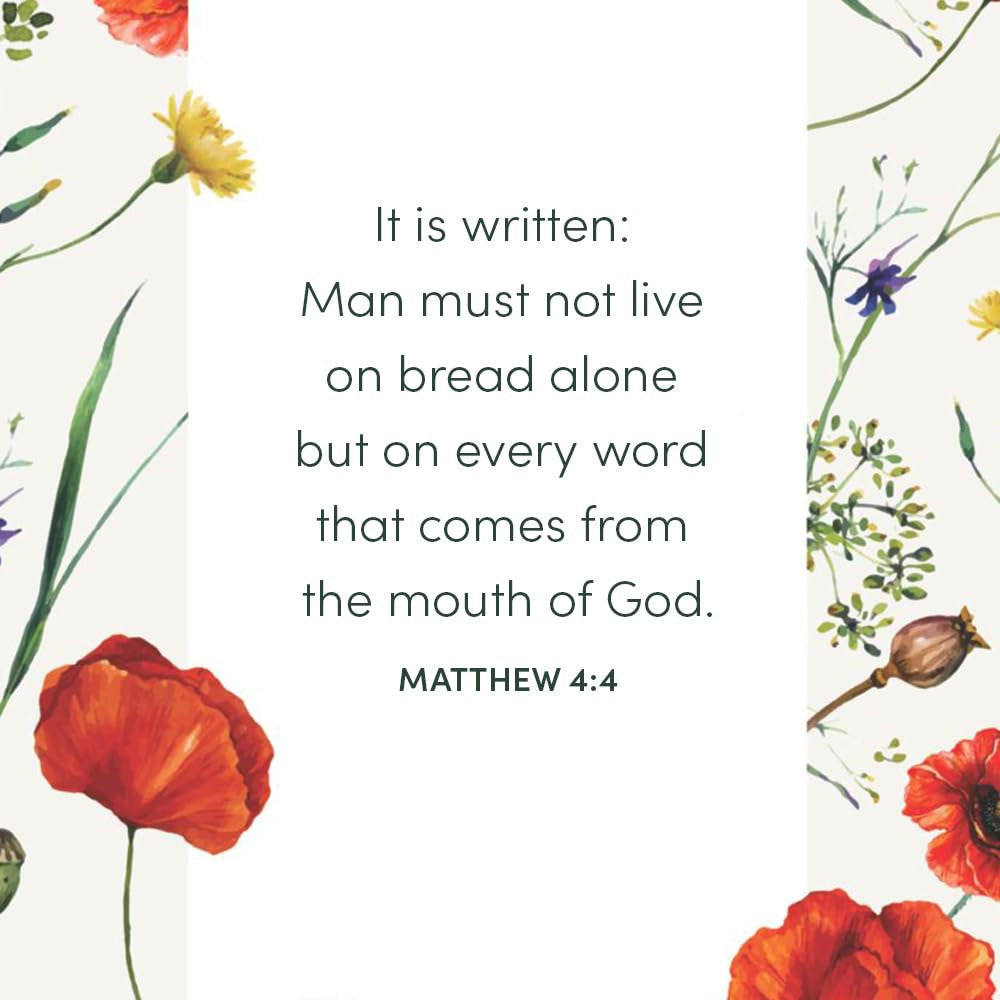 The Bible in a Year - Bible Study Book: a Guided Scripture Reading Journey for W