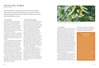 Northeast Foraging: 120 Wild and Flavorful Edibles from Beach Plums to Wineberri