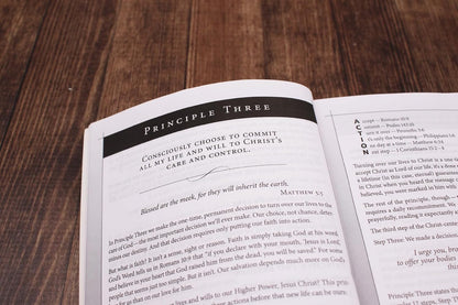 NIV, Celebrate Recovery Study Bible, Paperback, Comfort Print