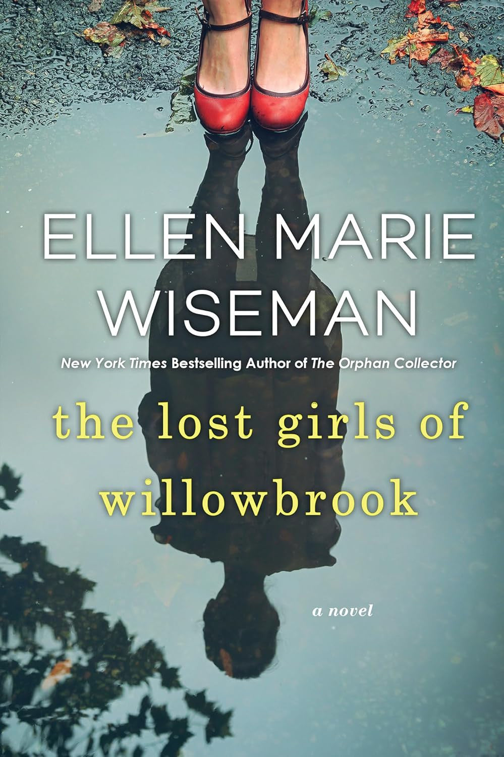 The Lost Girls of Willowbrook: a Heartbreaking Novel of Survival Based on True H