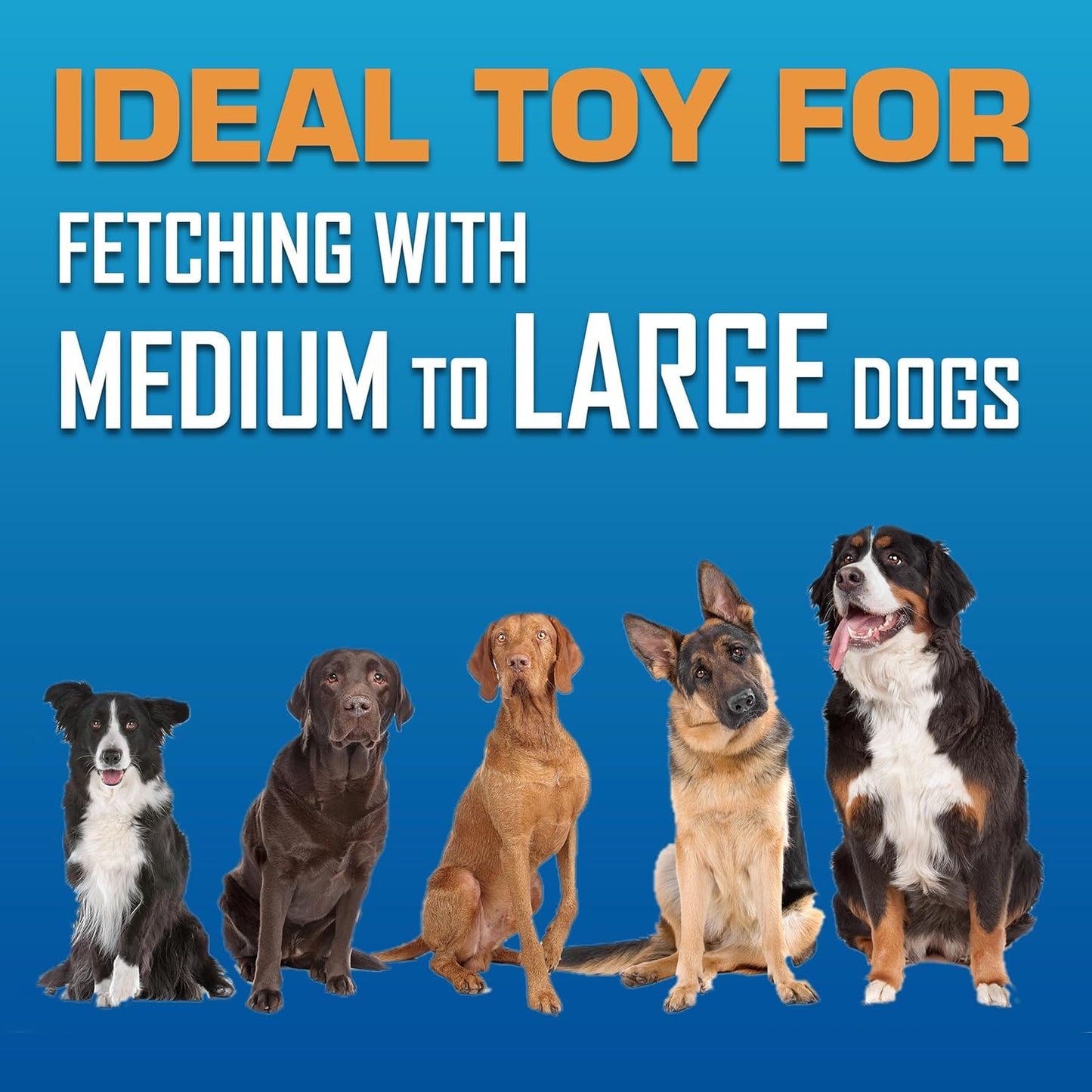 Tire Flyer Dog Toy Gift Set, 10 Inch Flying Disc Dog Fetch Toys, Rubber Dog Toy