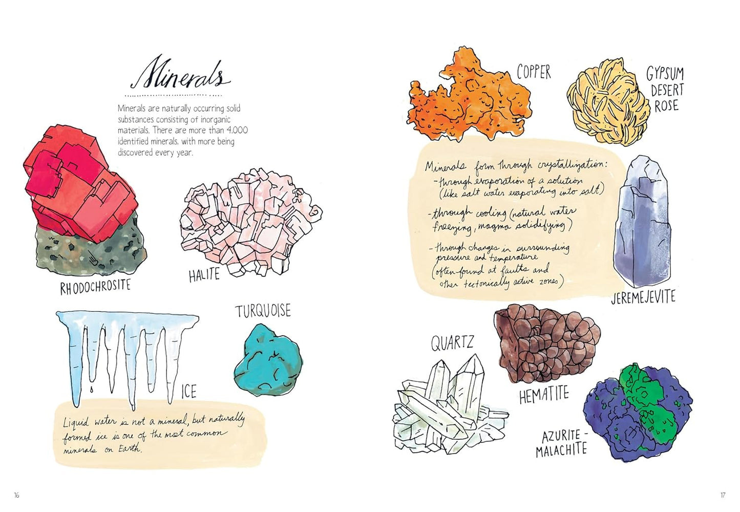 Nature Anatomy: the Curious Parts and Pieces of the Natural World