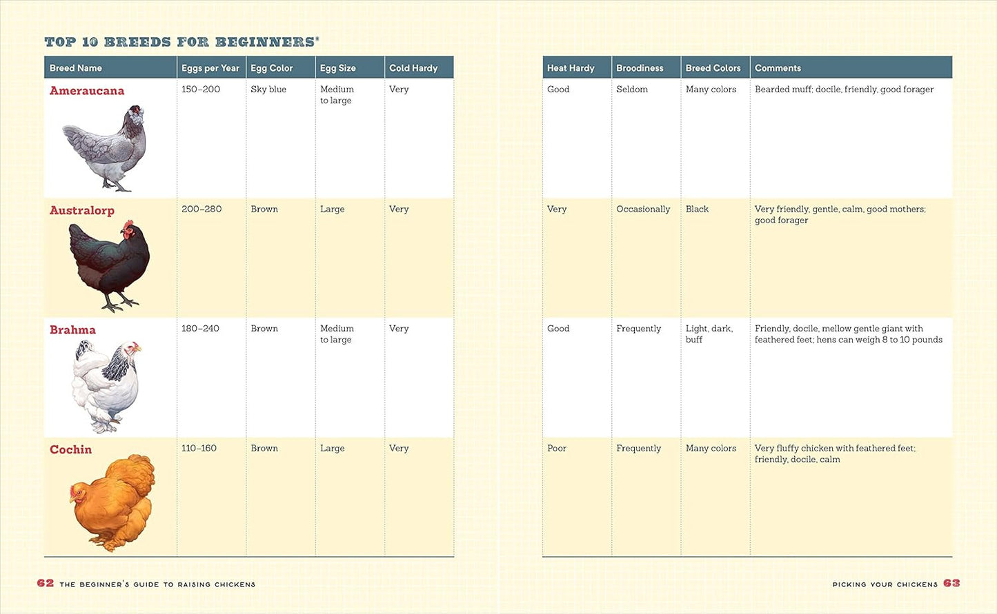 The Beginner'S Guide to Raising Chickens: How to Raise a Happy Backyard Flock (R