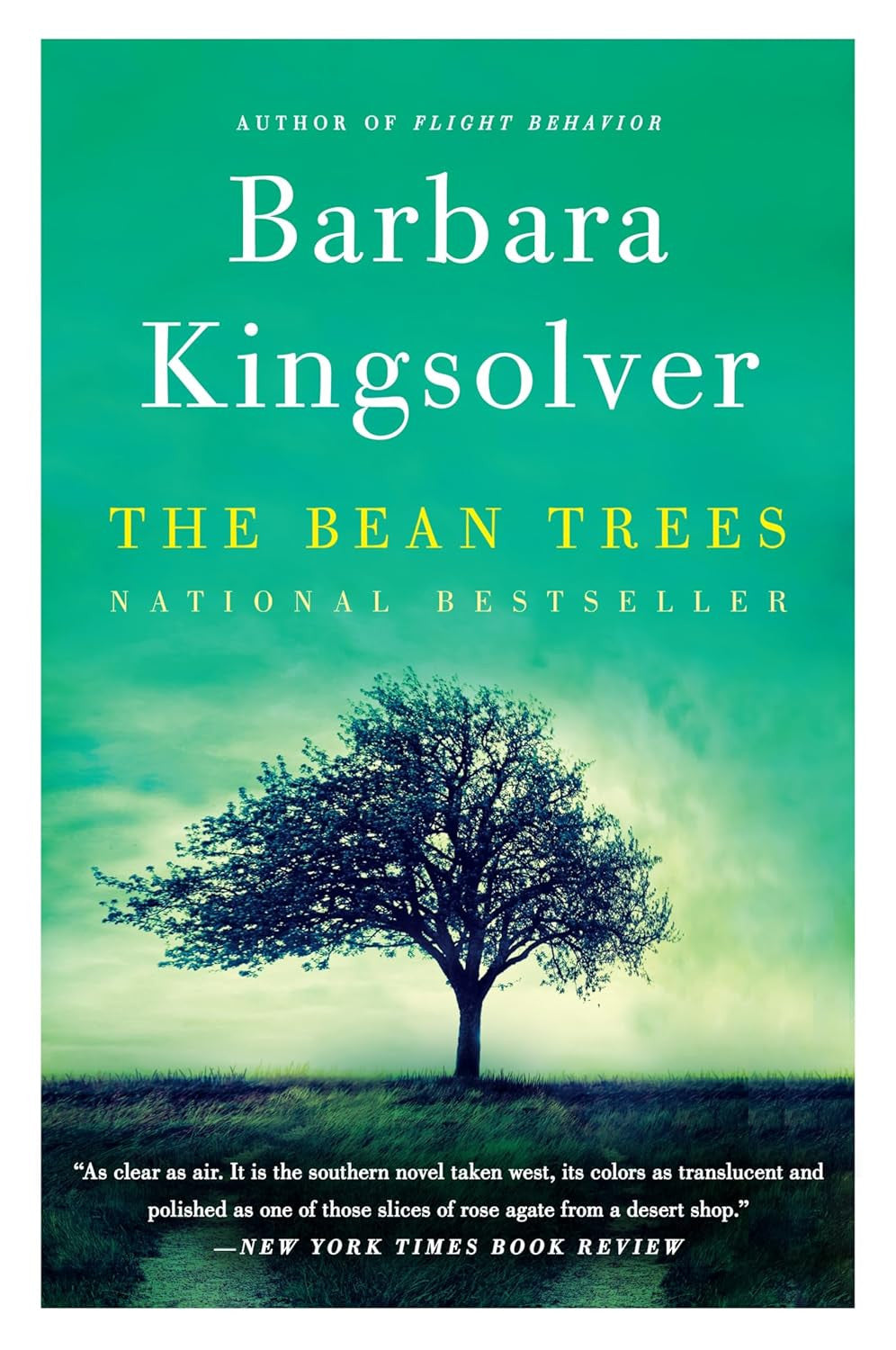 The Bean Trees: a Novel