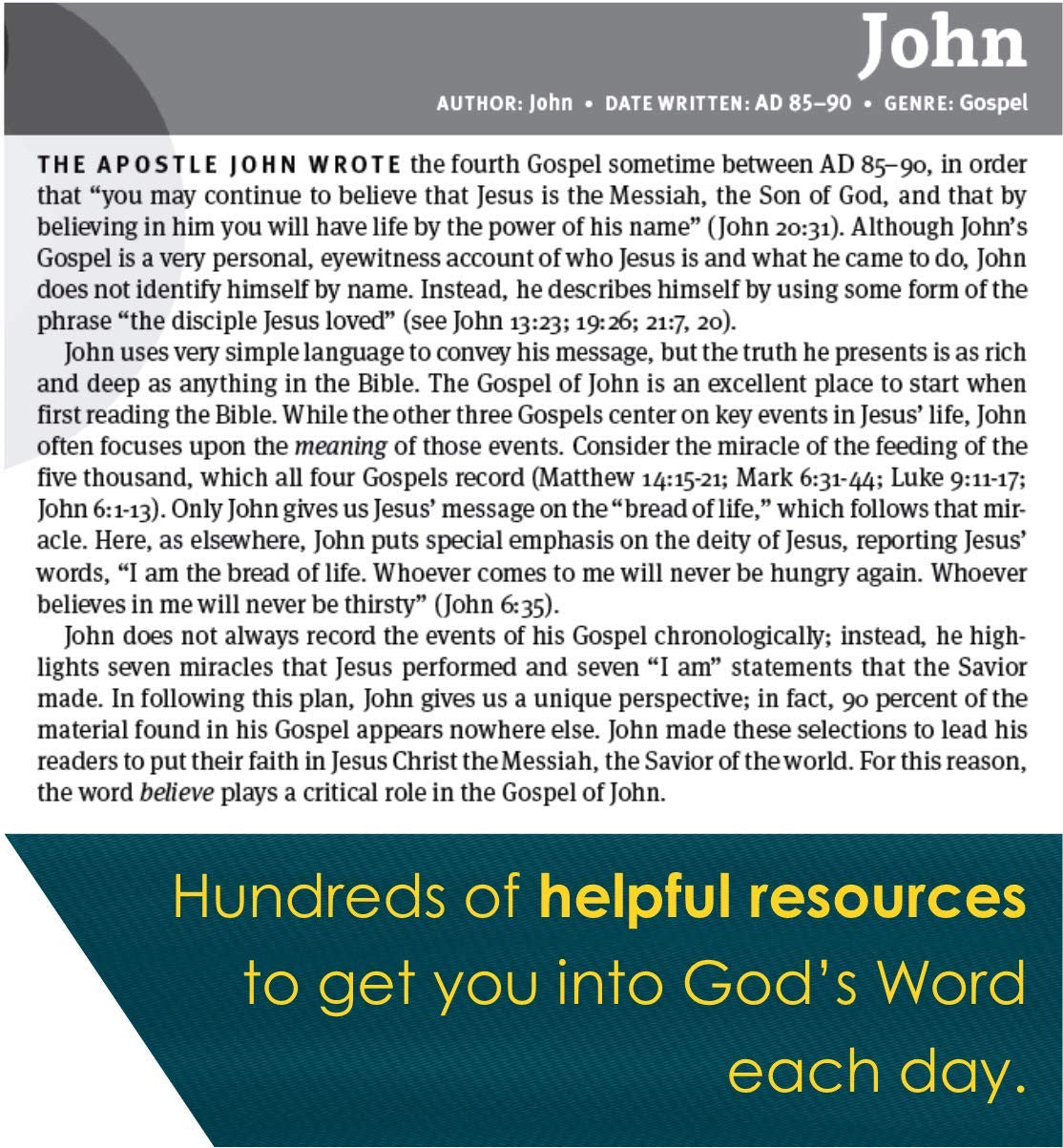 New Believer'S Bible NLT (Softcover): First Steps for New Christians