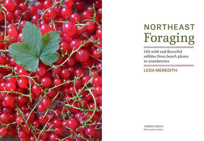 Northeast Foraging: 120 Wild and Flavorful Edibles from Beach Plums to Wineberri
