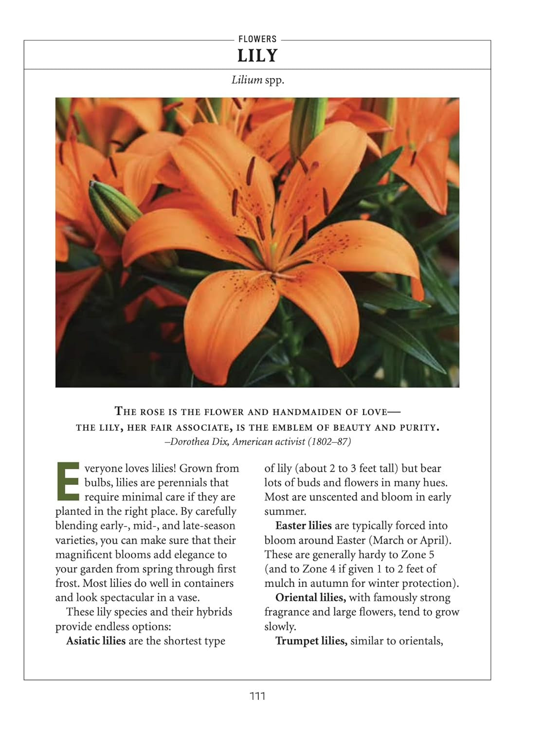 The Old Farmer'S Almanac Flower Gardener'S Handbook (Gardener'S Handbooks, 2)