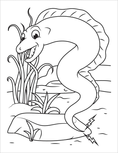 Ocean Coloring Book: Fish & Underwater Sea Animals to Color for Kids Ages 4-8 (C