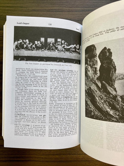 Zondervan Compact Bible Dictionary: A-To-Z Pocket Dictionary with over 5,000 Ent