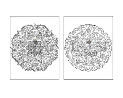 125 Mandalas: an Adult Coloring Book Featuring 125 of the World’S Most Beautiful