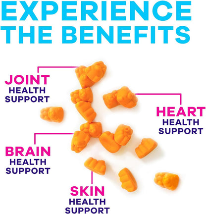 Turmeric Supplement Gummies Sugar Free - Turmeric Curcumin and Ginger Gummies wi