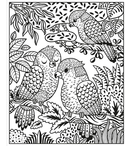 Zoo Magic Painting Book (Magic Painting Books)