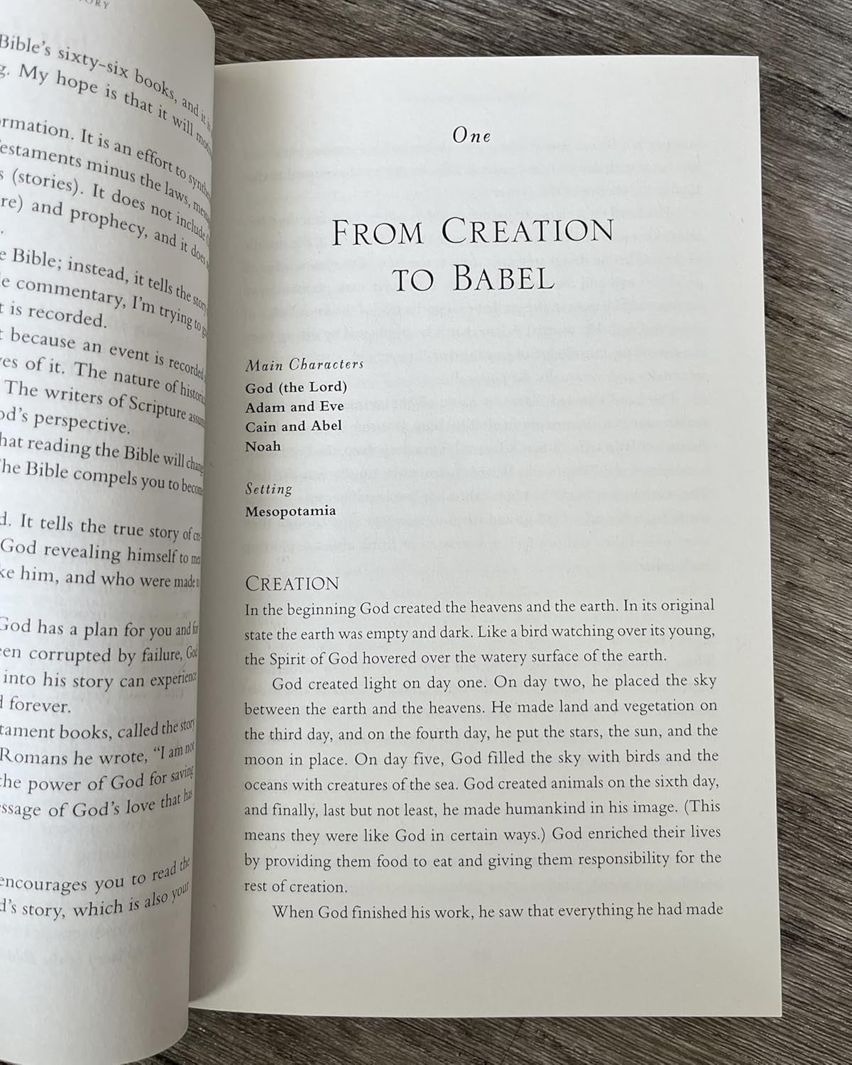 The Whole Bible Story: Everything That Happens in the Bible in Plain English (A