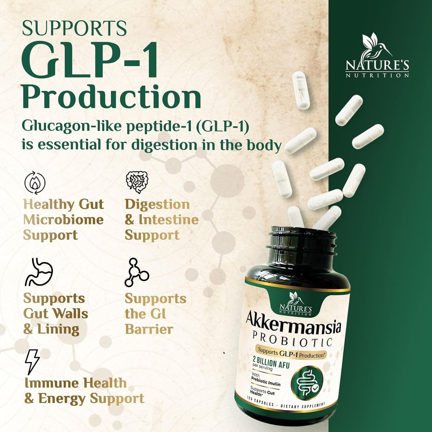 Akkermansia Probiotic Supplement for Women & Men, Akkermansia Muciniphila GLP 1