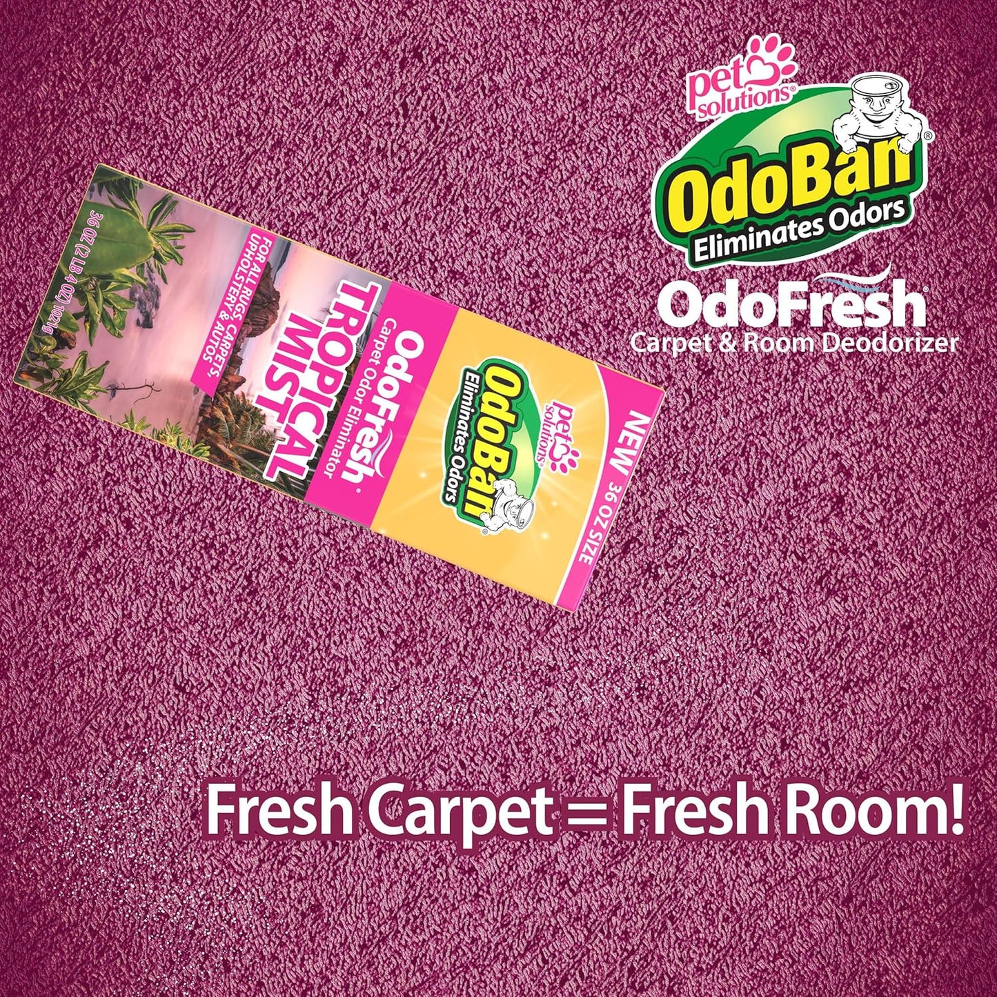 Odofresh Carpet and Room Deodorizer Powder for Home Smells and Odors Including S