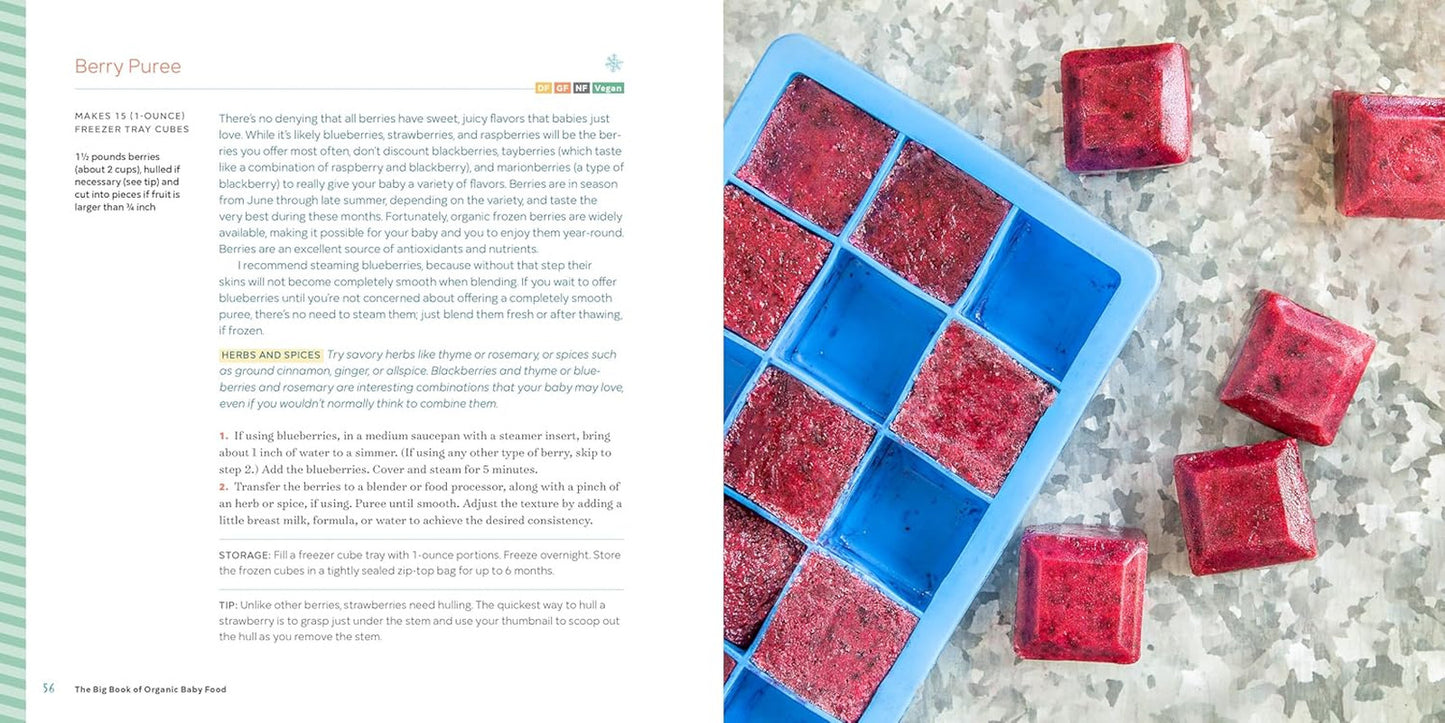 The Big Book of Organic Baby Food: Baby Purées, Finger Foods, and Toddler Meals