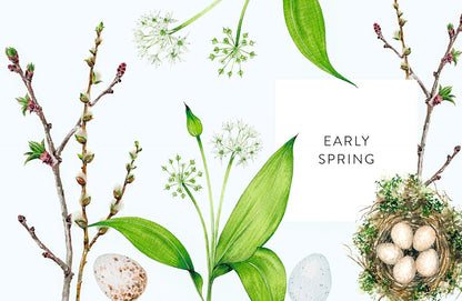 A Year of Watercolour: a Seasonal Guide to Botanical Watercolour Painting