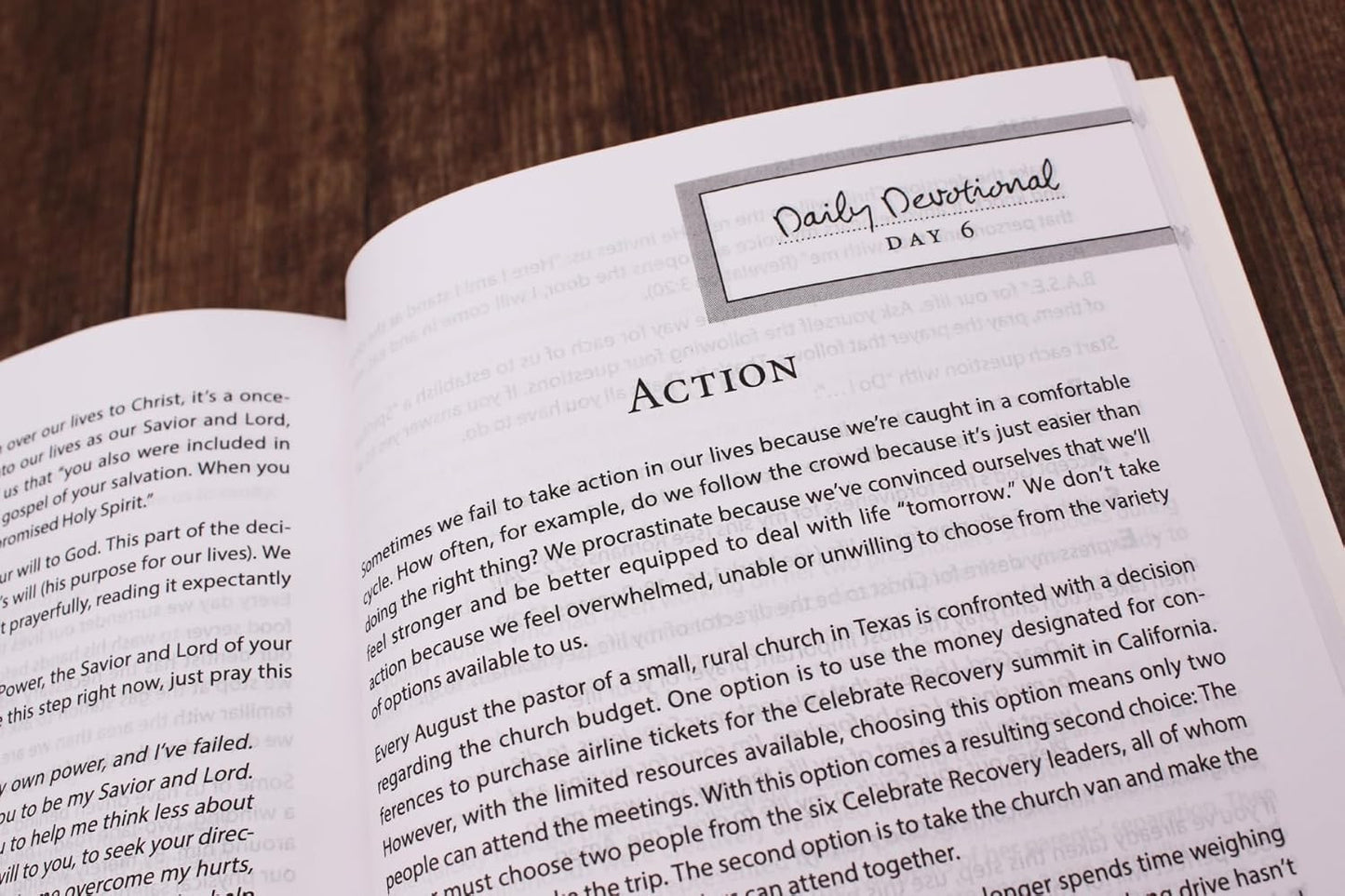 NIV, Celebrate Recovery Study Bible, Paperback, Comfort Print